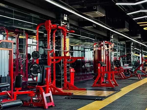 Commercial Gym