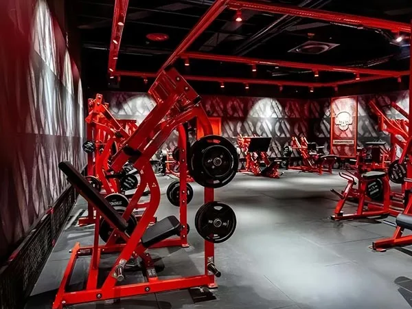 Commercial Gym