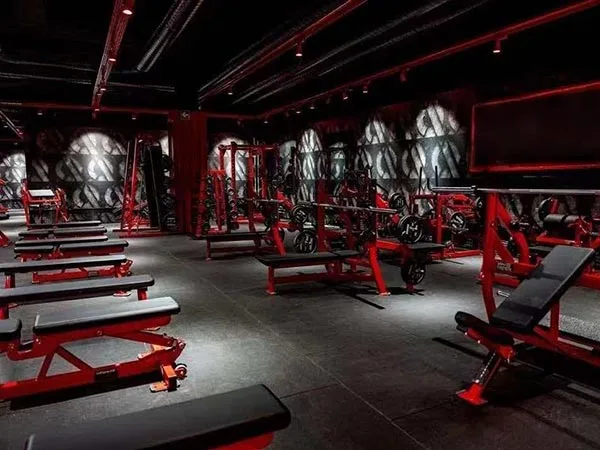 Commercial Gym